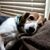 Teri Buzan Jenkins's profile image