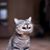 Carol Onspaugh's profile image