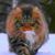 John Strager's profile image