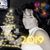 Stacey Fasig's profile image