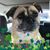 Tracee Chretien's profile image