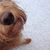 Surale Phillips's profile image