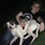 Chandler Steinweg's profile image