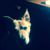 Leta Witcher's profile image