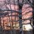 Sharon S Smith's profile image