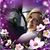 Tammy Novacek's profile image