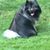 Kathy Matthews's profile image