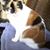 Sheila Jordan-haynes's profile image
