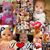 Stacy Sherrill's profile image