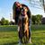 Marissa Read's profile image