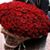 Sara Salah Awad's profile image