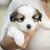 Brenda Eischen's profile image