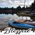 Carolyn Schlein Ness's profile image