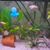 Roxane Hardison's profile image
