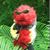 Dan Sarver's profile image