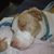 Karen Baker's profile image