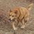 Sherry Moore's profile image