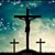Dawn Eilam's profile image