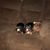Marina Pete Reeves's profile image