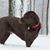 John M. Sanderson's profile image