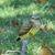 Bruce LaFluer's profile image
