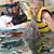 Debbie A Goldberg's profile image