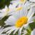Angenette Hatheway's profile image