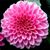 Robb Katherine's profile image
