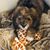 Lori Gassner- Warchol's profile image