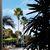 Karen Harty Garay's profile image