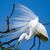 Gayle Cristee Millican's profile image