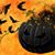Tallulah Belulah Dahling's profile image