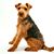 Laurie Harding's profile image