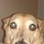 Michael Mondragon's profile image