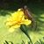 Lynn Christine Richner's profile image