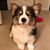 Brody Love's profile image