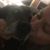 Lori Ogilvie's profile image