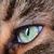 Jeff Reagan's profile image