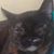 April Marie Millard's profile image