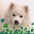 Sue Odonnell's profile image