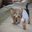 Lindsay Farnsworth's profile image
