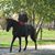 Rosie Ryther King's profile image