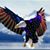 Kimberly Joy's profile image
