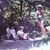 Mariann Hutchison's profile image