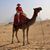 Shannon Manry Bielaska's profile image