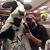 Michael Eldridge's profile image