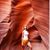 Bethany Moura's profile image