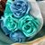 Teri Willetts's profile image