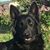 Kerstin Meyer's profile image