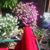 Jeanie Wood's profile image